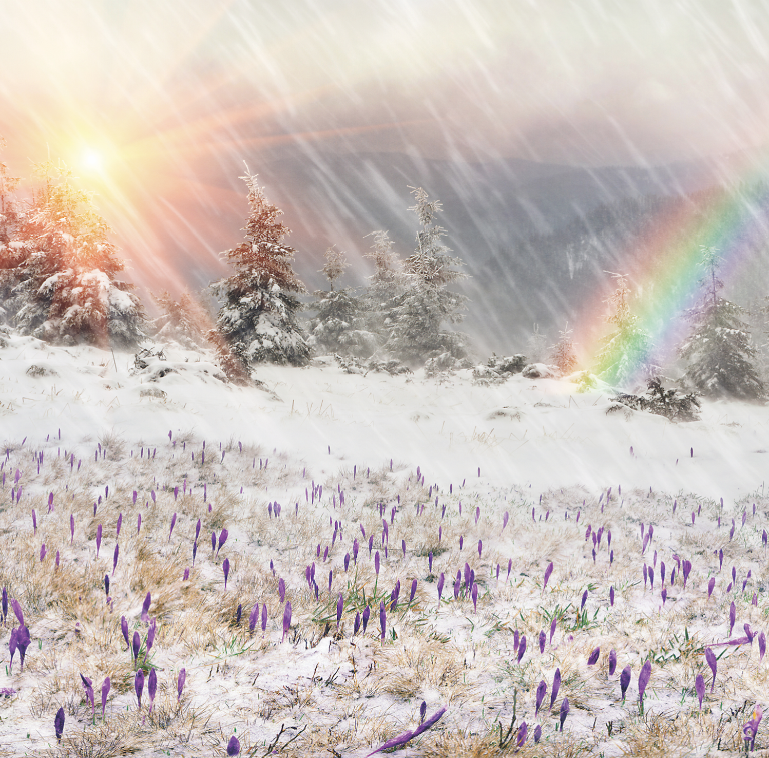 Winter rainbow. Радуга зимой. Бывает ли Радуга зимой. Весенняя Радуга. Радужная зима.