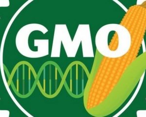 GMO-labeling-bill-defeated-in-Canadian-parliament_wrbm_large