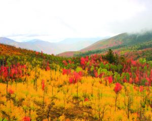 Autumn landscape in Utah's Wasatch Mountains, USA.